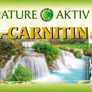 L-Carnitin | 60 Kapseln – Bild 3