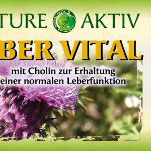 Leber Vital | 60 Kapseln – Bild 3