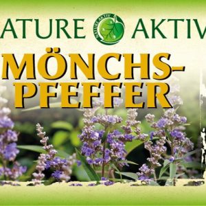 Mönchspfeffer | 90 Kapseln – Bild 3
