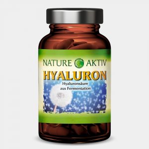Hyaluron | 60 Kapseln – Bild 1