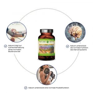 Kaliumcitrat | 60 Kapseln – Bild 2