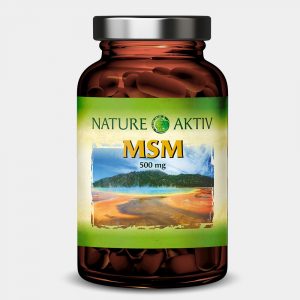 MSM | 120 Kapseln – Bild 1