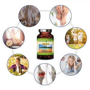 MSM | 120 Kapseln – Bild 2