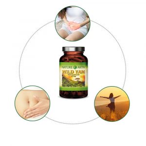Wild Yam | 120 Kapseln – Bild 2
