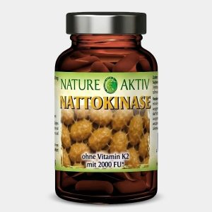 Nattokinase | 90 Kapseln – Bild 1
